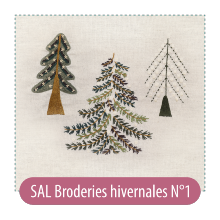 Broderies hivernales N1 (SAL)